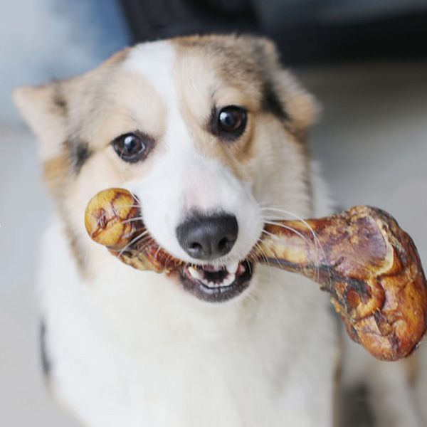 Kích cỡ xương phù hợp với mỗi chú cún sẽ không có sự giống nhau